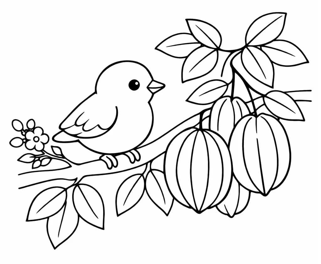 Chú Chim Trên Cây Khế