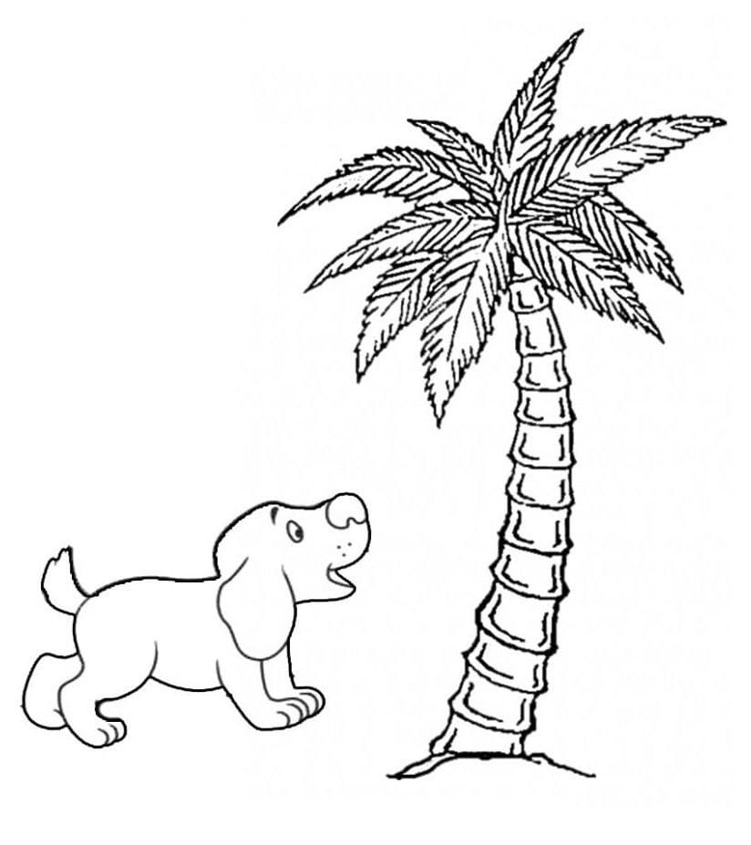 Chú Chó và Cây Dừa