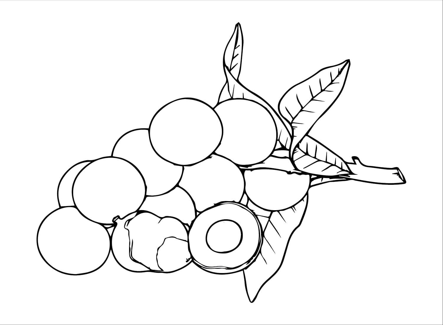 Chùm Nhãn Đẹp Nhất