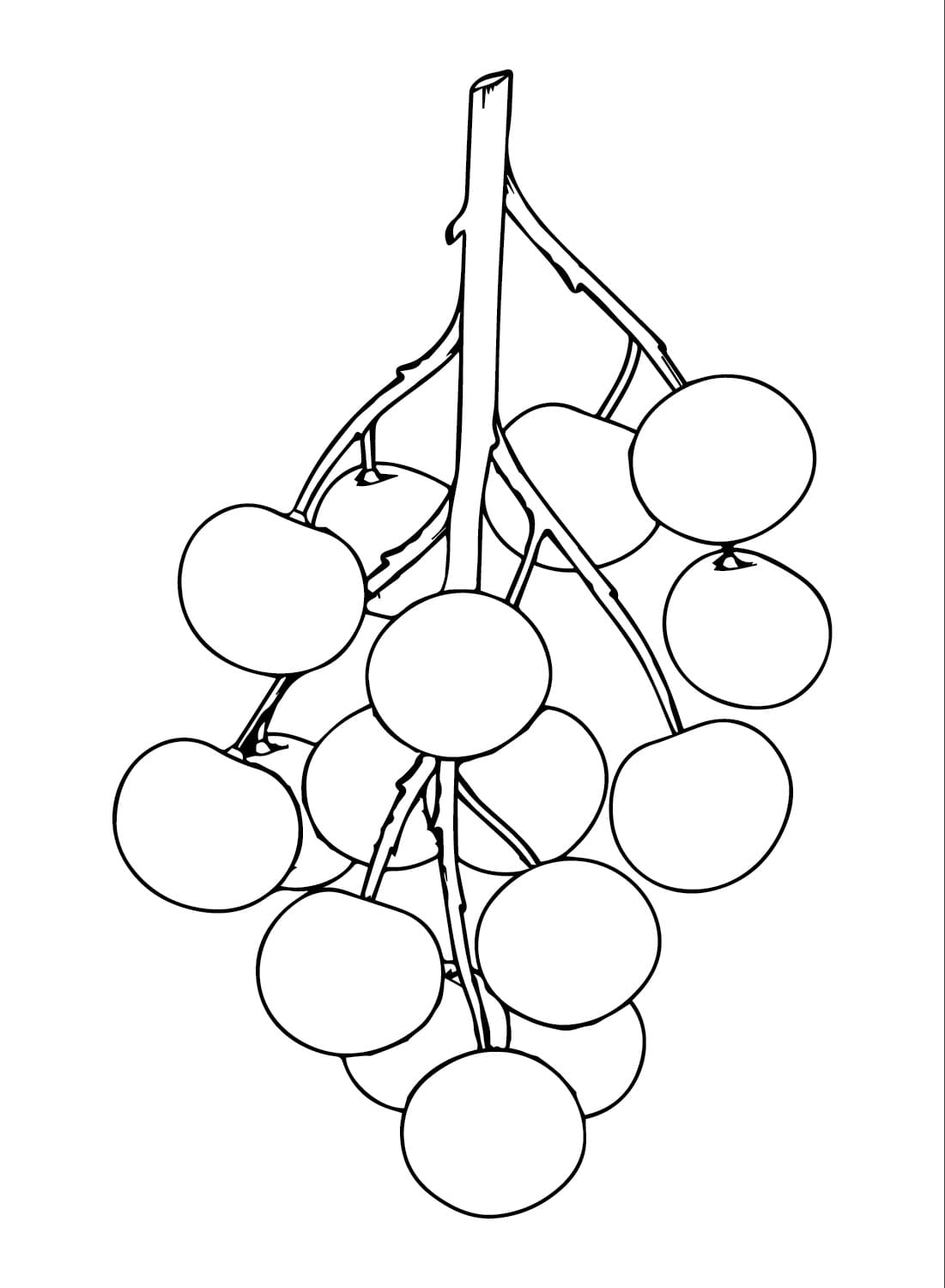 Chùm Nhãn Đơn Giản