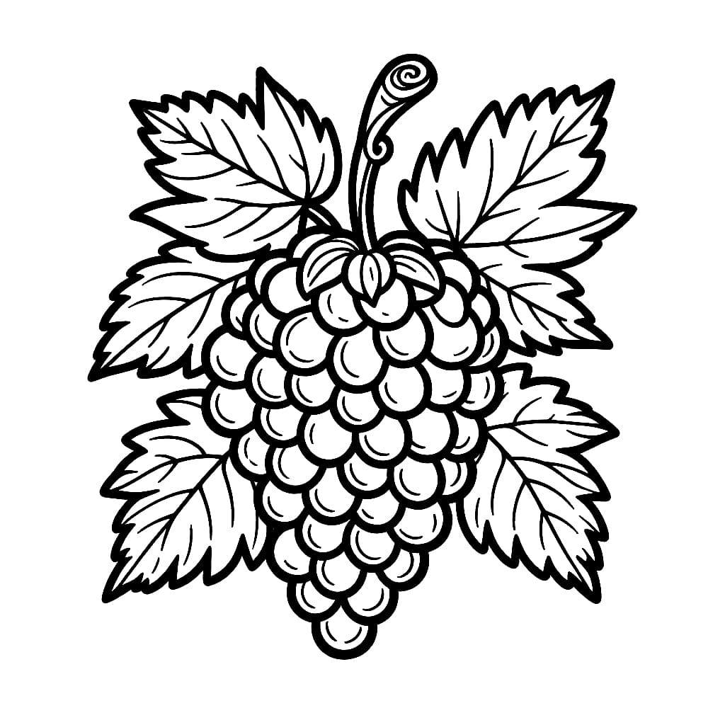 Chùm Nho Nhiều Quả