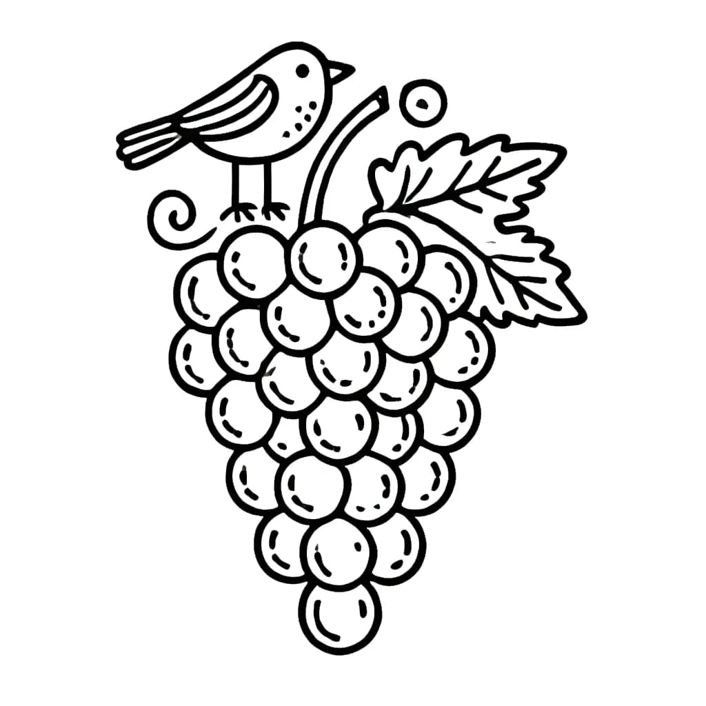Chùm Nho Và Con Chim