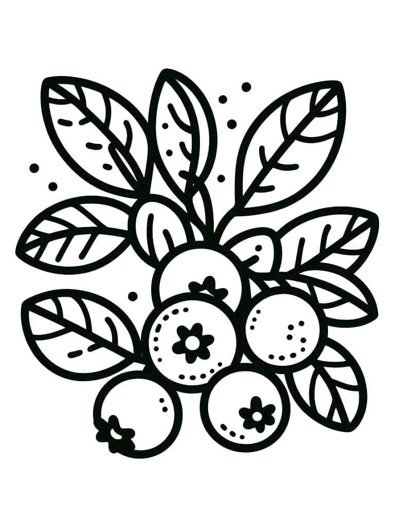 Chùm Quả Việt Quất