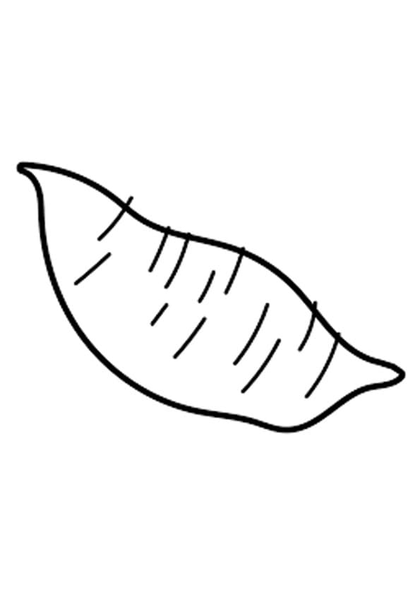 Củ Khoai Lang Đơn Giản