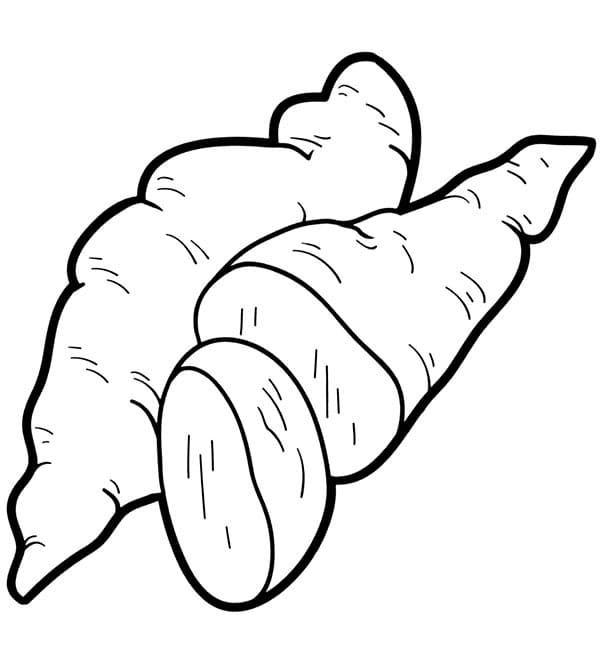 Tô Màu Củ Khoai Lang