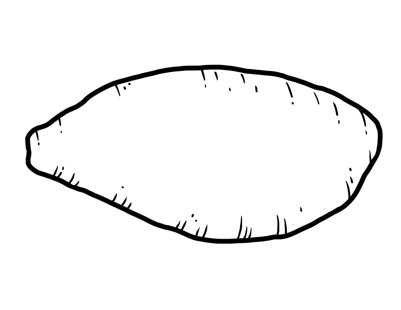 Củ Khoai Lang Rất Đơn Giản