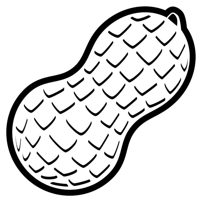 Củ Lạc Đơn Giản