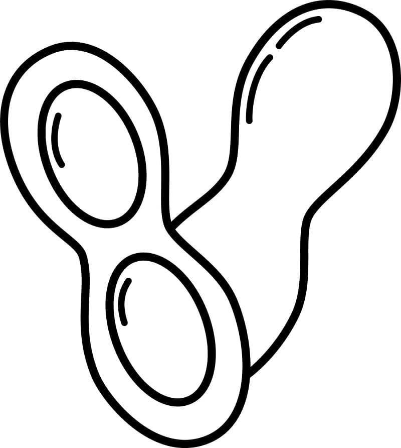 Củ Lạc Rất Đơn Giản