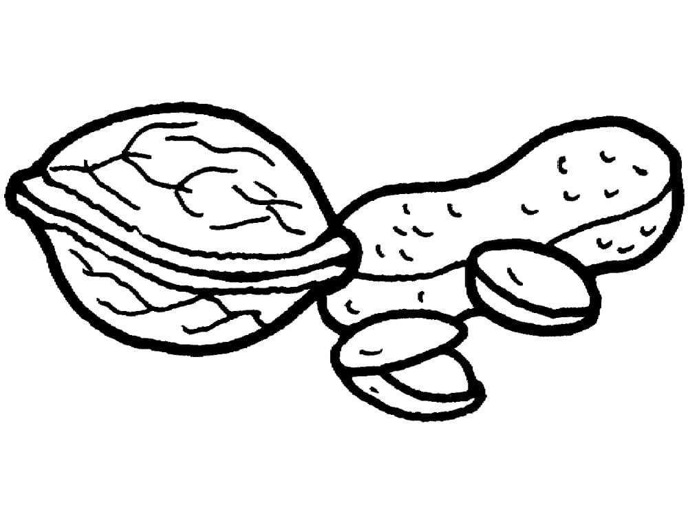 Củ Lạc và Hạt