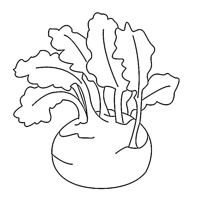 Củ Su Hào Đơn Giản