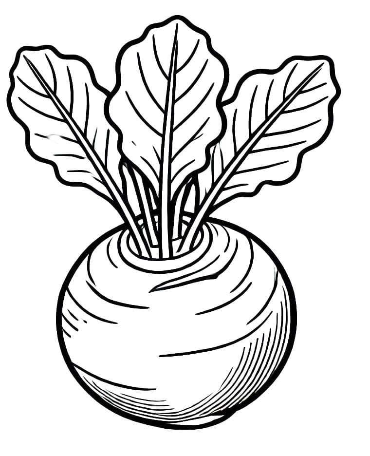 Củ Su Hào Xanh Tươi