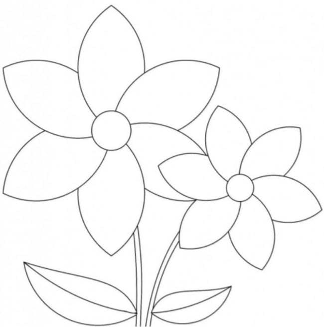 Hai Bông Hoa 6 Cánh