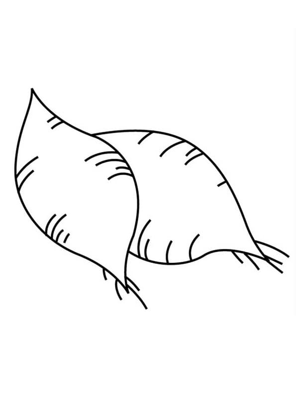 Hai Củ Khoai Lang Đơn Giản