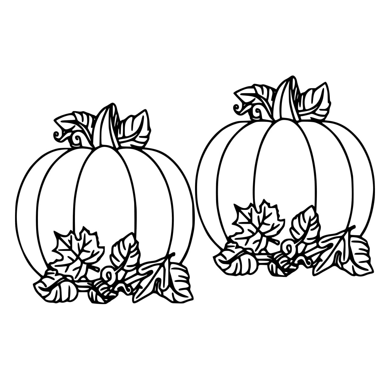 Hai Quả Bí Ngô