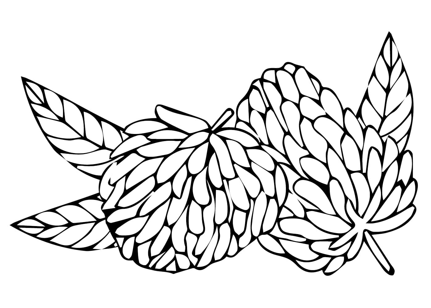 Hai Quả Mãng Cầu