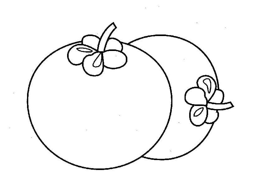 Tô Màu Quả Măng Cụt