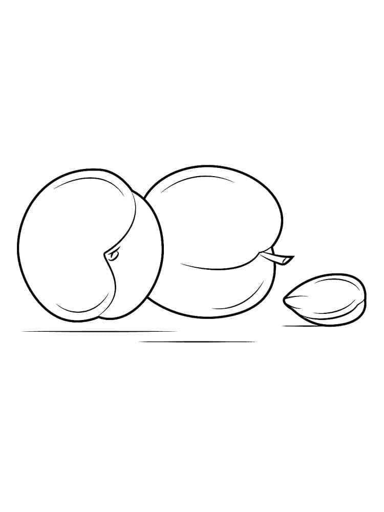 Hai Quả Mơ và Hạt