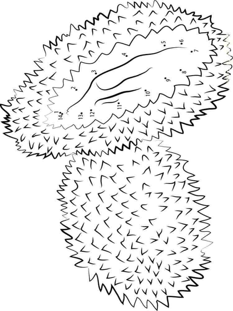 Hai Quả Sầu Riêng