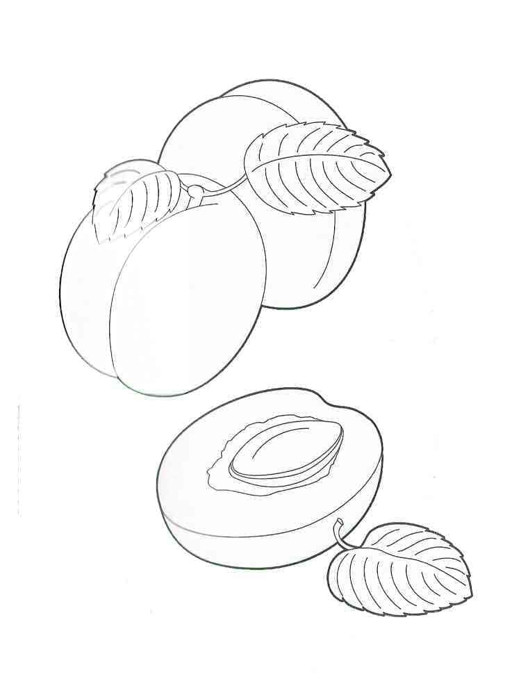 Hình Ảnh Quả Mơ