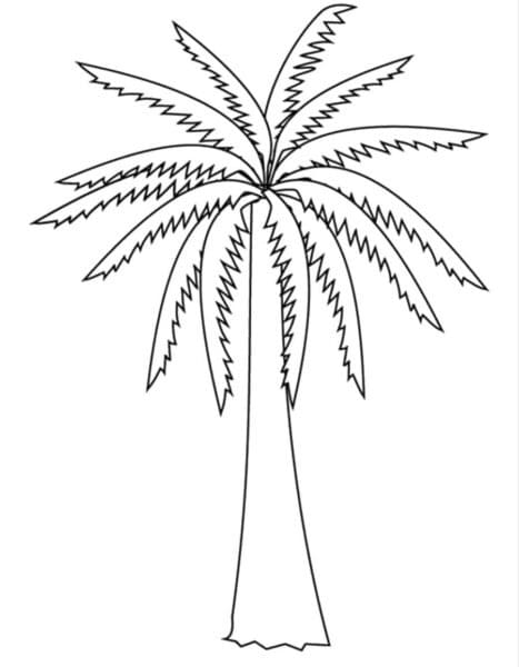 Hình Cây Dừa Đơn Giản