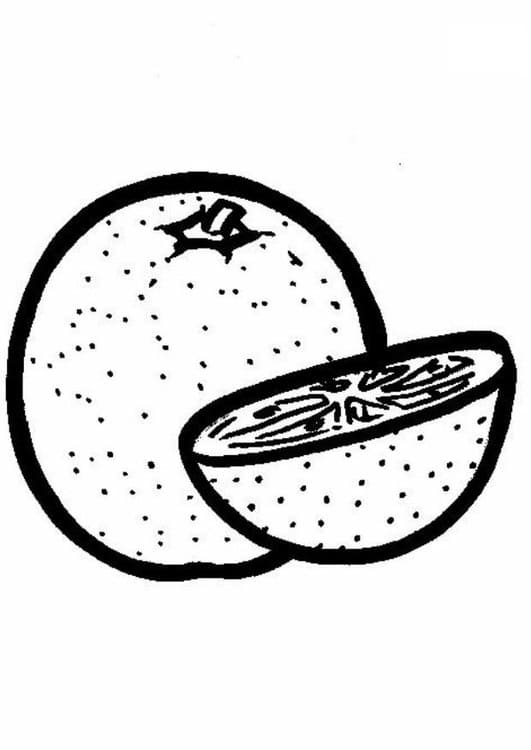 Hình Vẽ Quả Bưởi