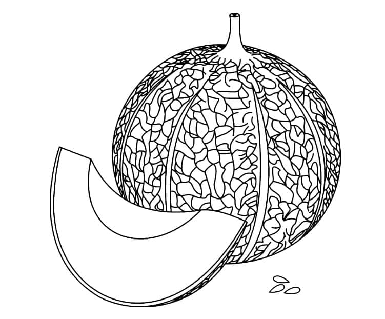 Hình Vẽ Quả Dưa Gang