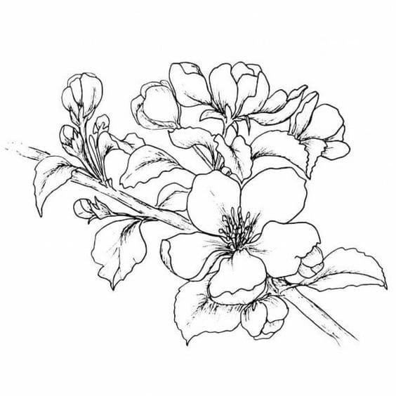 Hoa Đào Ngày Tết