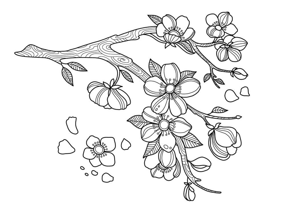 Hoa Đào Nghệ Thuật