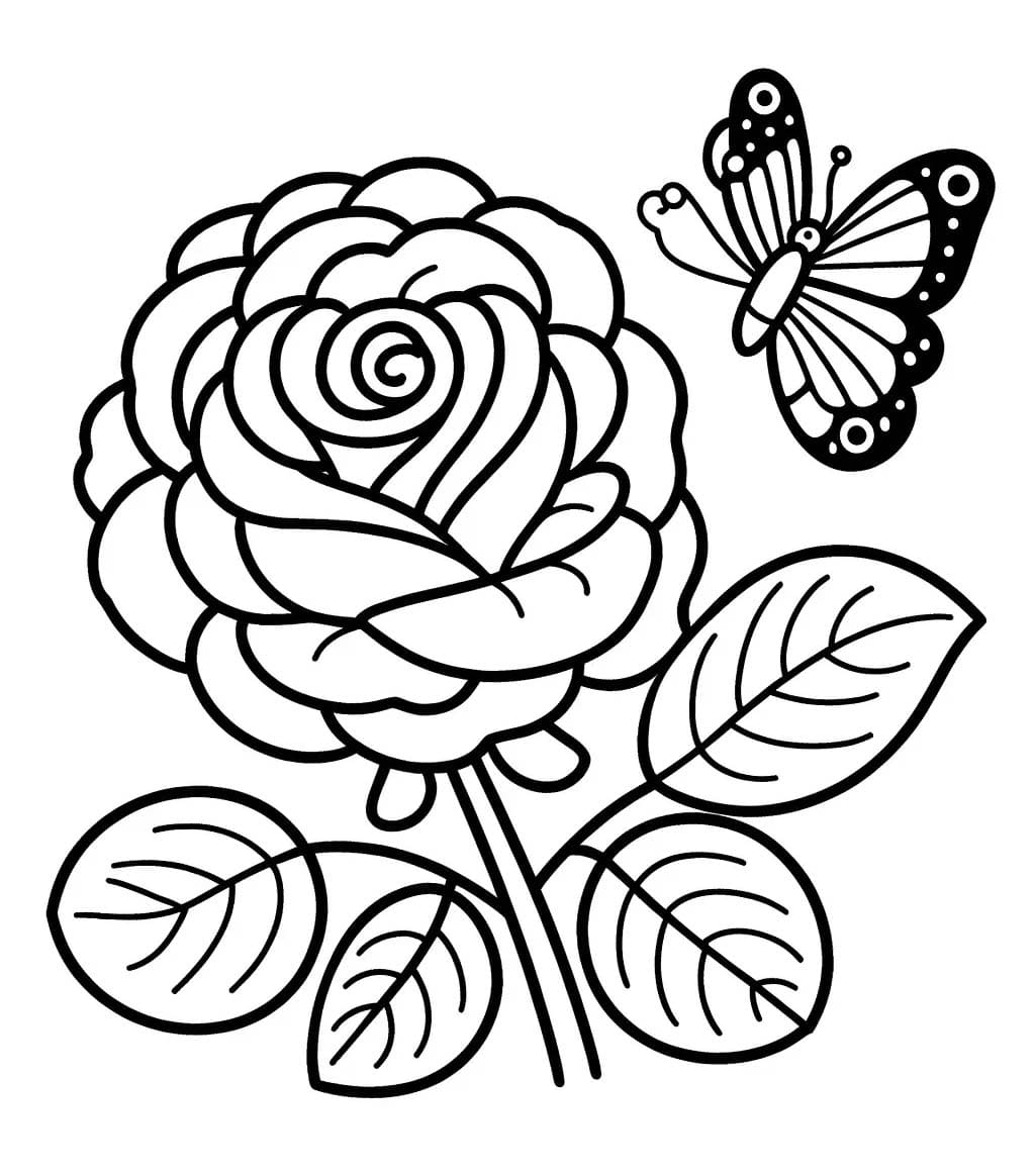 Hoa Hồng Và Con Bướm