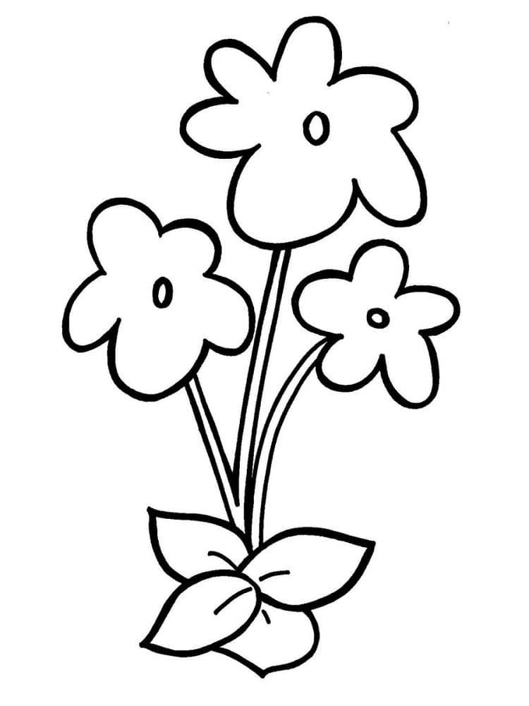 Hoa Mai Đơn Giản