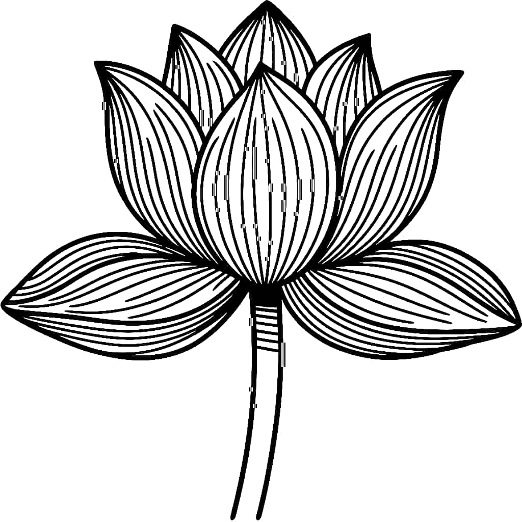 Hoa Sen Đơn Giản