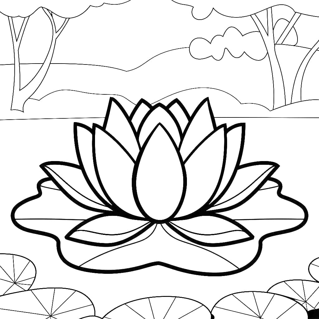 Hoa Sen Lớn Trên Lá