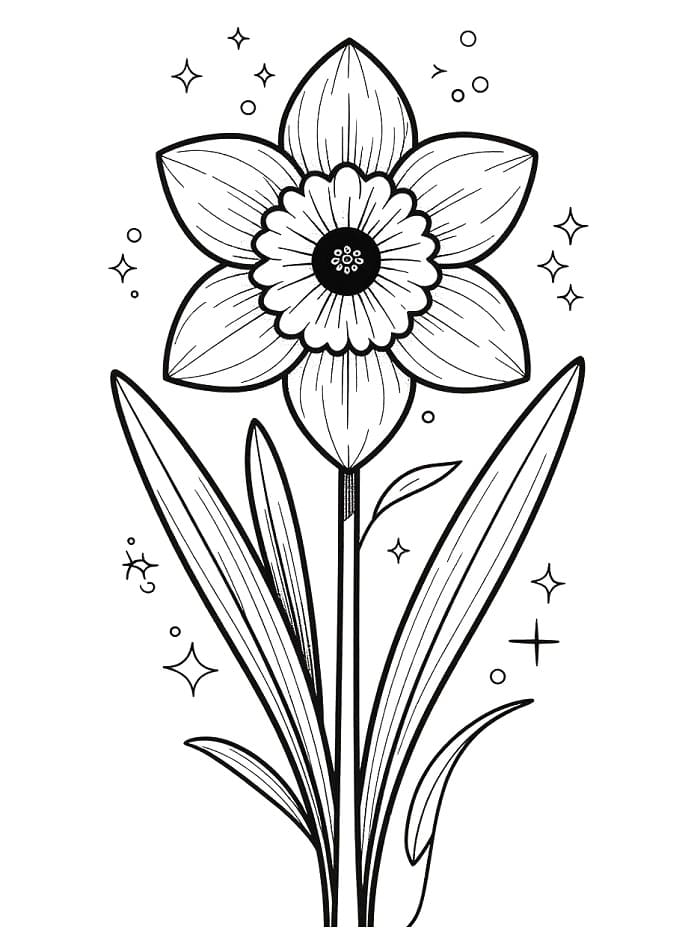 Hoa Thuỷ Tiên Đẹp Lộng Lẫy