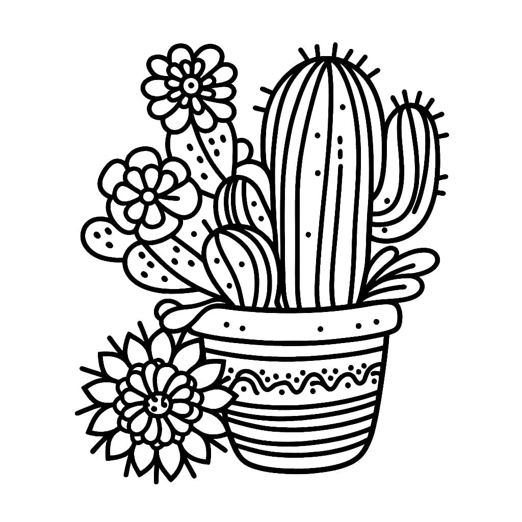 Hoa Xương Rồng