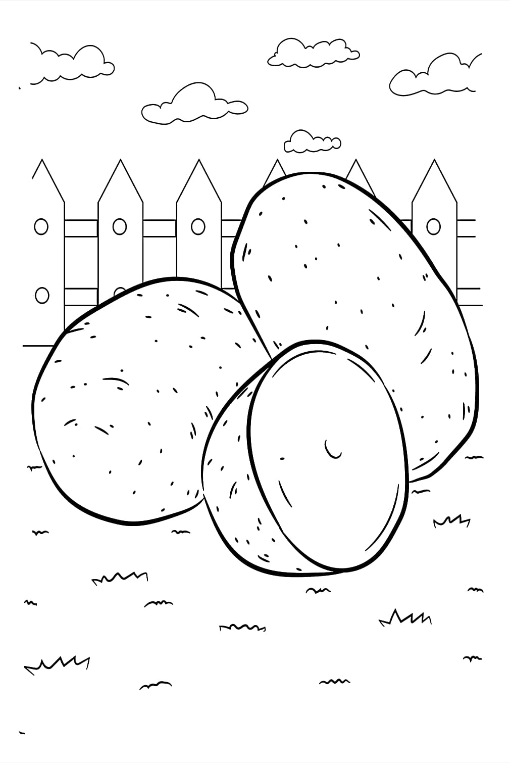 Khoai Tây Trong Nông Trại