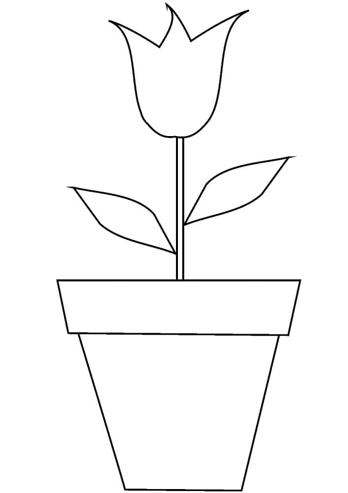Lọ Hoa Tulip