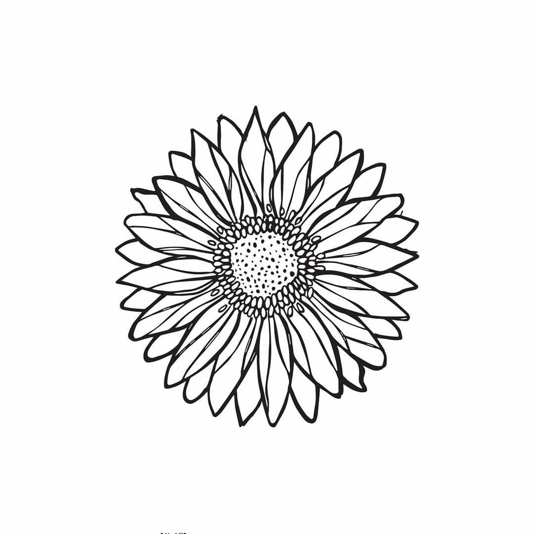 Một Bông Hoa Đồng Tiền