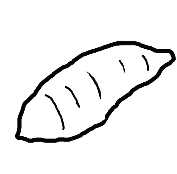 Một Củ Khoai Lang