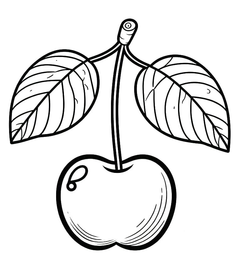 Tô Màu Quả Cherry