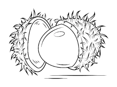 Một Quả Chôm Chôm