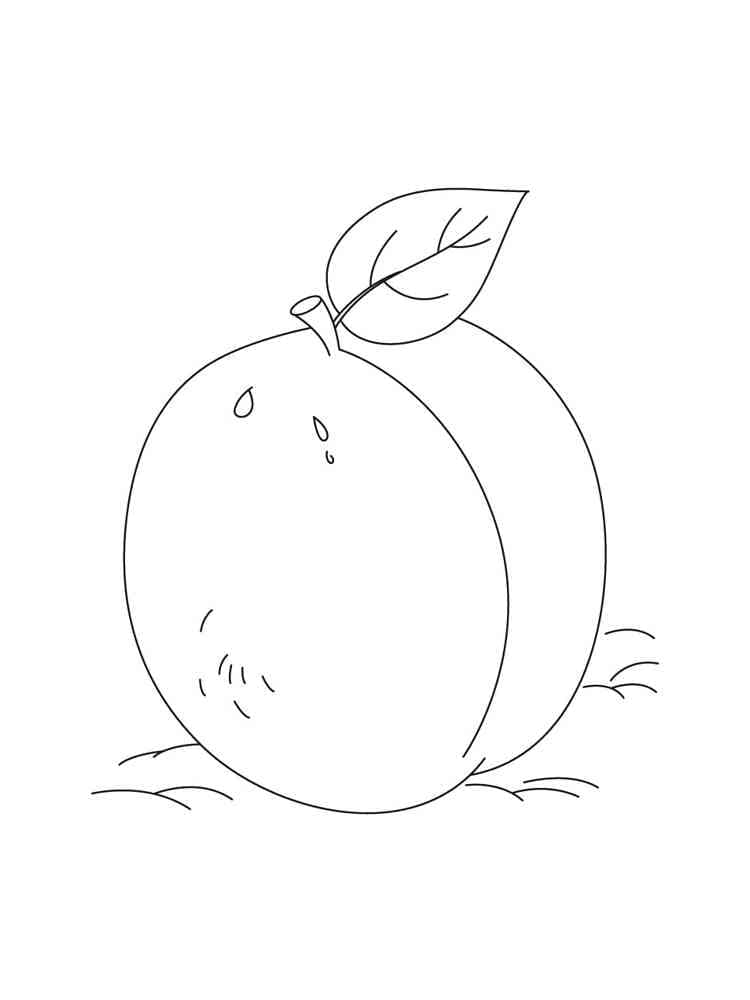 Tô Màu Quả Mận