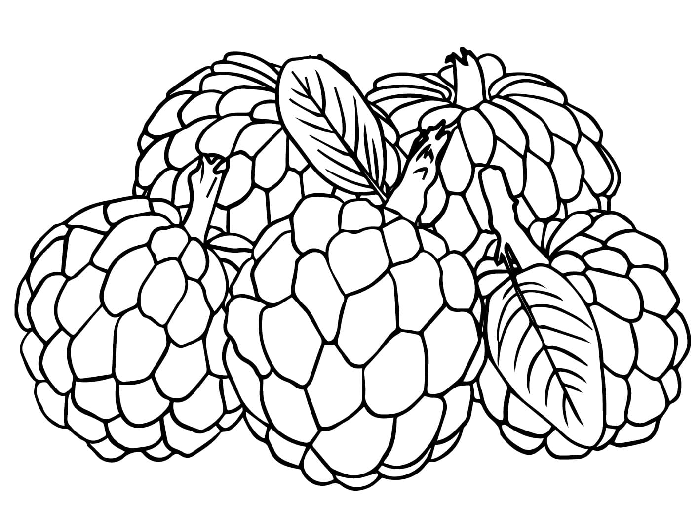 Năm Quả Mãng Cầu