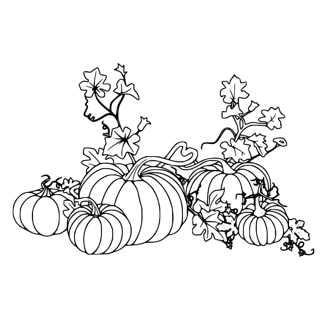 Nhiều Quả Bí Ngô