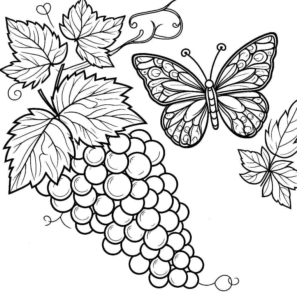 Nho Và Con Bướm