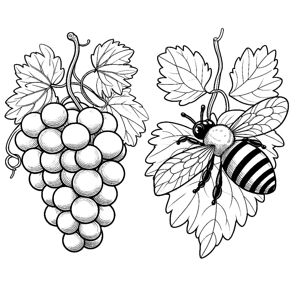 Nho Và Con Ong