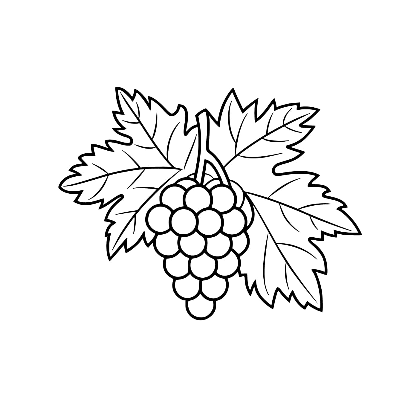 Nho Và Lá Lớn