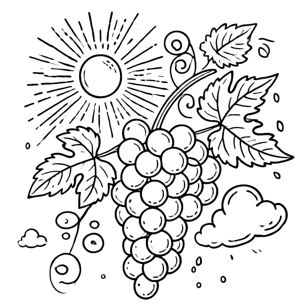 Nho Và Mặt Trời