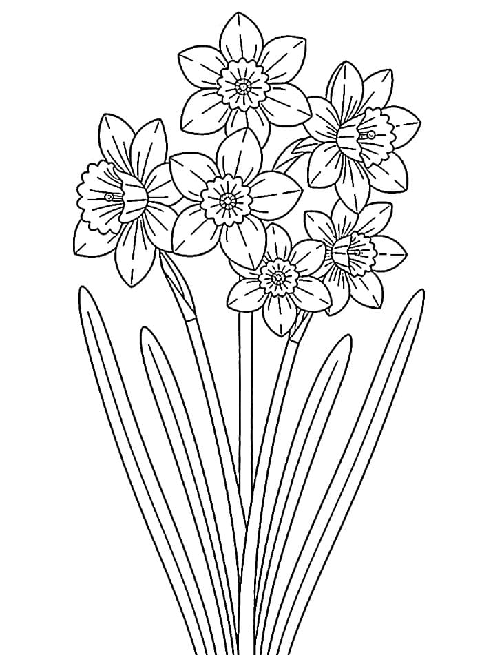 Những Bông Hoa Thuỷ Tiên