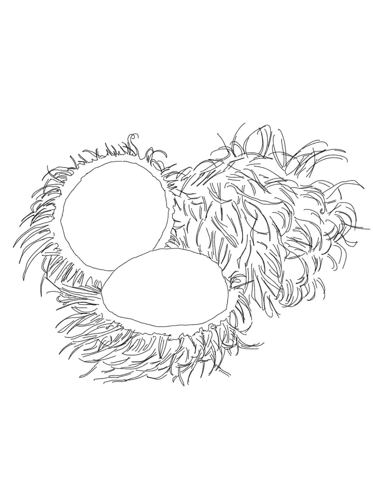 Những Quả Chôm Chôm