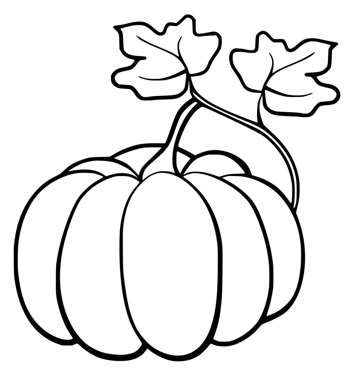 Quả Bí Ngô Có Hai Lá